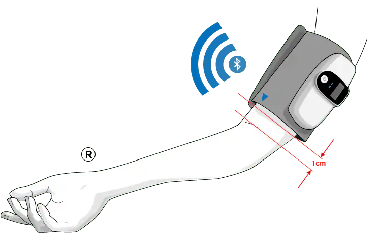 Hand System